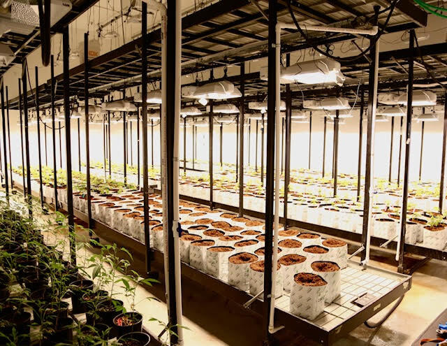 Warehouse for Sale in  California 93535